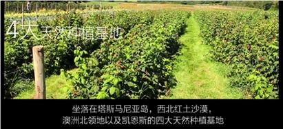 彩妆是阿玛尼的好还是迪奥的好,彩妆mac品牌