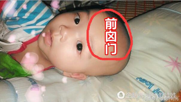 6个月宝宝囟门闭合头围40.6,宝宝六个月囟门闭合怎么办