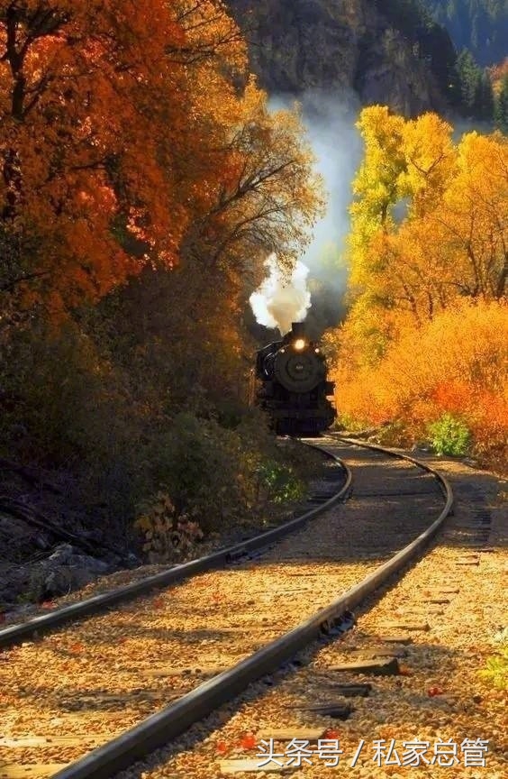 爱和依赖是一回事吗,爱和依赖才是对方的爱