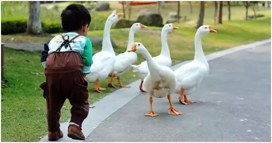 杭州游玩推荐带孩子亲子酒店,杭州最值得住的亲子酒店