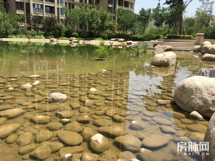 百亩绿化三亩湖五重景观成一家-富力白鹭湾园林实景