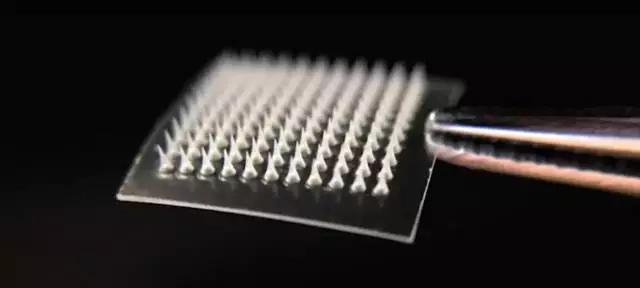 减肥不用运动神器,真正有效的减肥神器