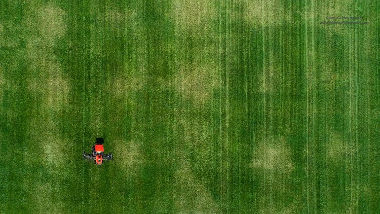 就让我随你去,去俯瞰多姿多彩的大千世界