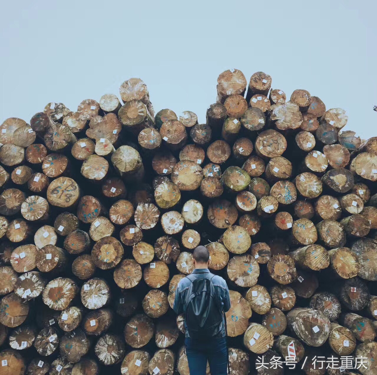 参观重庆木材加工厂遗迹,重庆最大木材加工厂