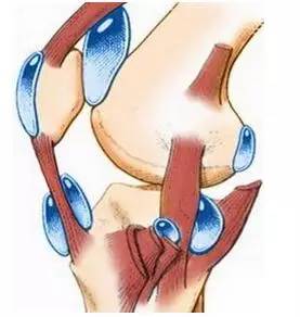 关节肿是滑膜炎吗,有什么病能引起滑膜炎