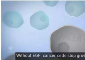 肺癌晚期医生下病危通知能活多久,肺癌晚期从发现到死亡1年半