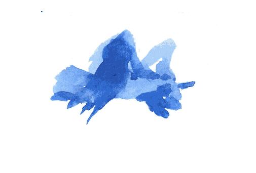 腕上鸟类图鉴｜谁是颜值之巅？