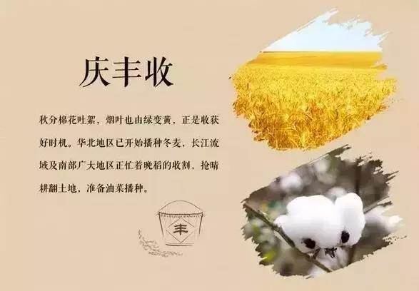 春分和秋分节气,春分秋分节气