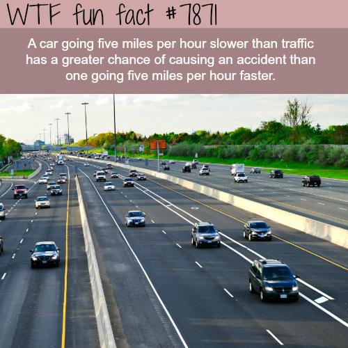 趣味事实季后赛,从未听说过的有趣事实