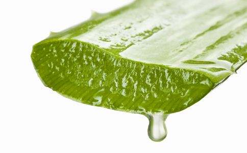 市面上芦荟胶没有效果?不如用生芦荟来敷脸,5个方法来自制面膜
