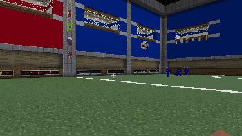 我的世界足球10大恶棍,世界上最奇葩的足球比赛