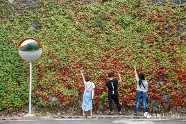 四川旅游一条很直的公路,四川唯一一条有路灯的高速公路