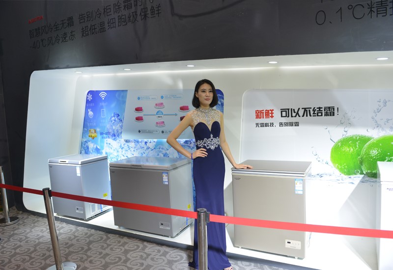 澳柯玛无霜冷柜价格表,家用冷柜澳柯玛风冷