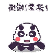 众泰和传祺,同样13万你会选择什么车