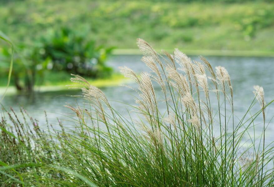 那年，我的“浅秋”，与秋天无关