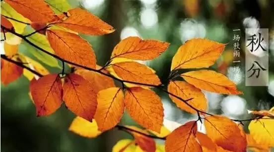 春分和秋分节气,春分秋分节气