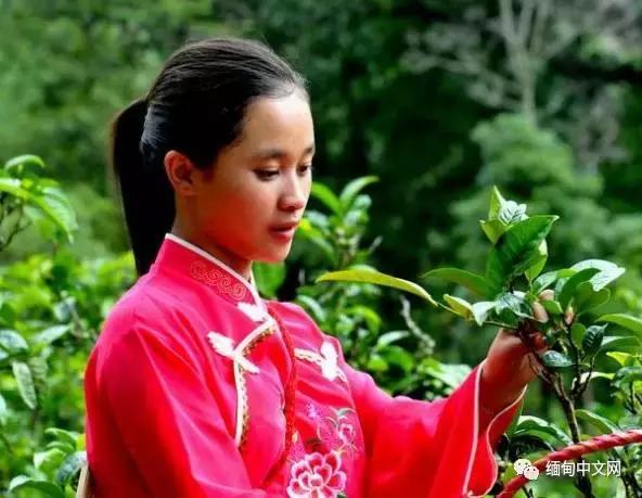 缅甸的最出名特产,缅甸最出名特产