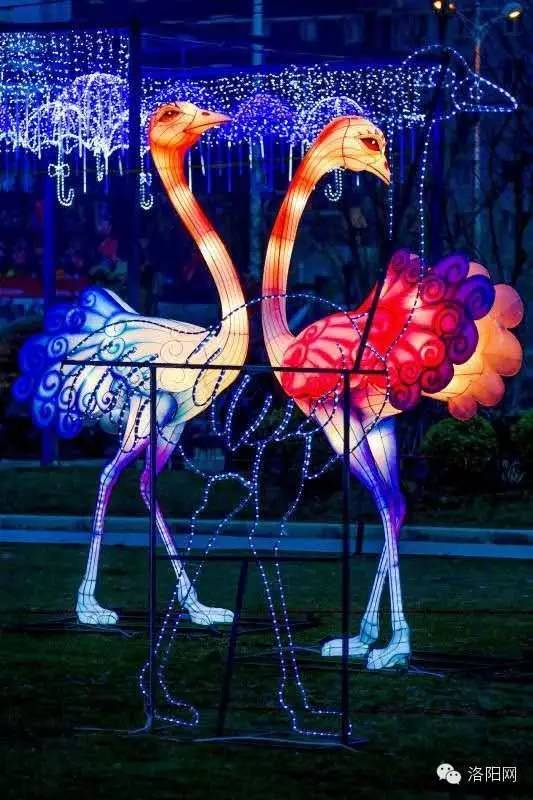 洛阳2024新春超级灯会在哪里,洛阳最大公园灯会