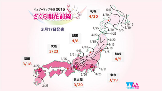 日本樱花季赏樱全攻略,赏樱攻略全部