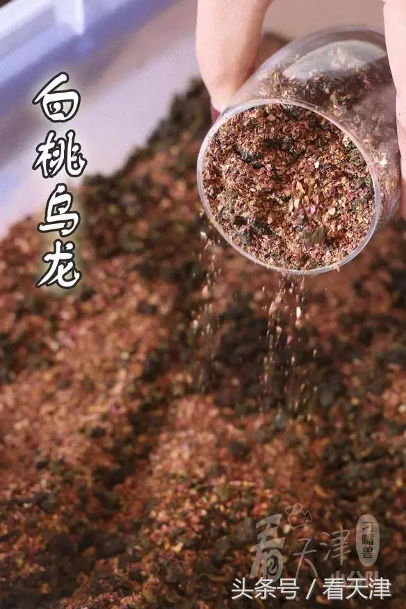 天津终于迎来台湾排队王“爷茶”！爷爷泡的网红茶！