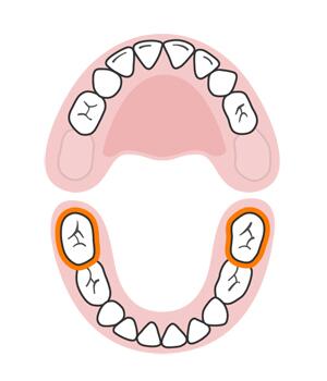 宝宝长牙顺序和换牙顺序一样吗,宝宝换牙有什么征兆