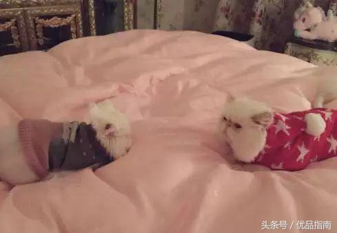 无论什么年纪都要有一颗少女心,不管什么年龄段都有一颗少女心