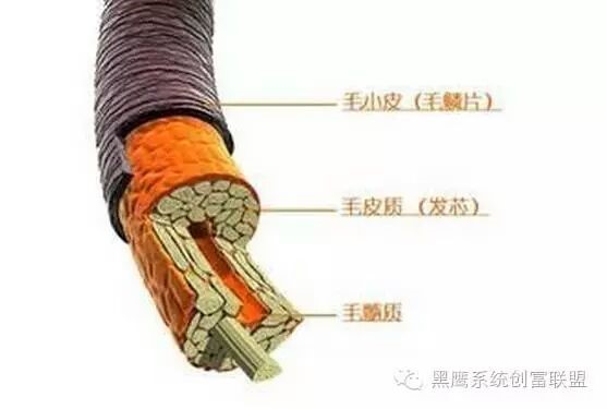 染发烫发的原理与危害，这些你有中招吗？