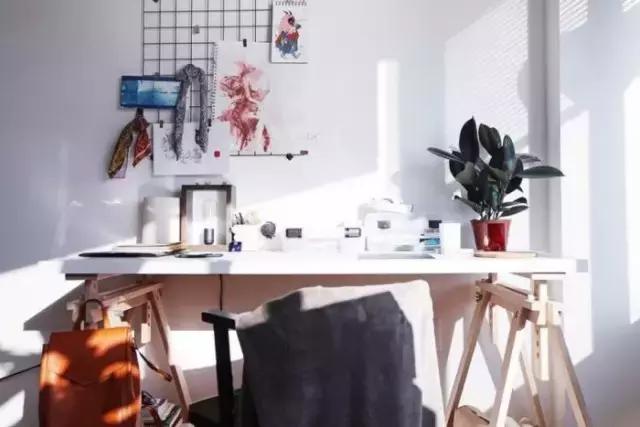 花卉摆放位置有讲究,风水上可以招财的花卉植物