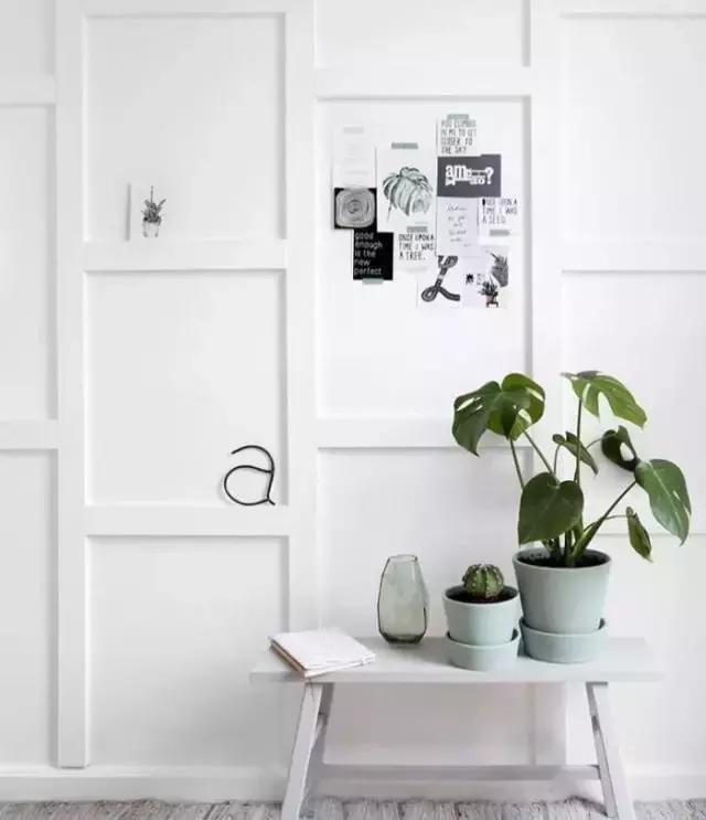 花卉摆放位置有讲究,风水上可以招财的花卉植物