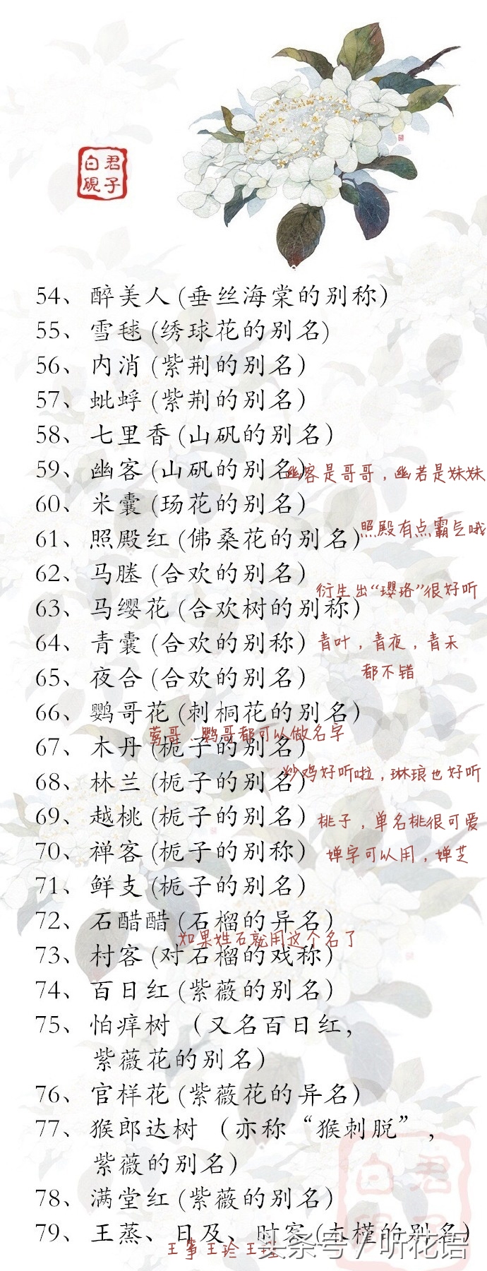 花的别称一个字,给孩子取一个寓意很健康的名字