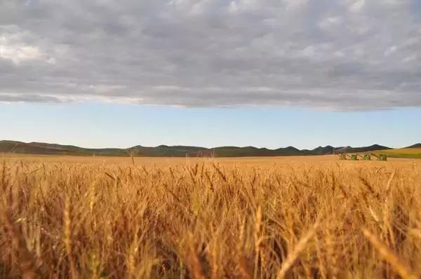 鸠歌湾，大北山怀里的“小江南”