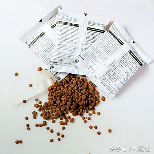 想养宠物需要做什么,想养宠物条件