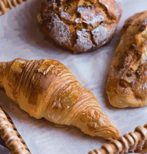 breadday面包,bread面包品牌