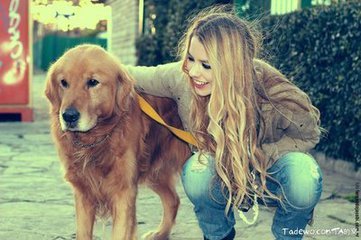 什么决定了狗狗的寿命长短,狗狗的寿命通常都在多少年