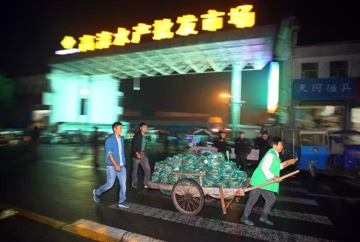 固城湖螃蟹和阳澄湖螃蟹哪个好,固城湖螃蟹十大排名