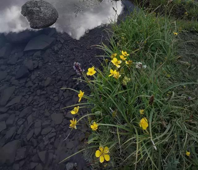 景深镜头怎么拍广角,镜头景深分析