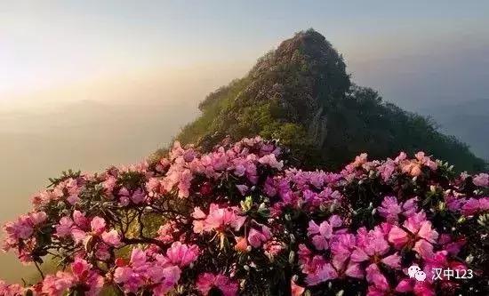 汉中光雾山最详细地点,光雾山旅游景区感受大自然