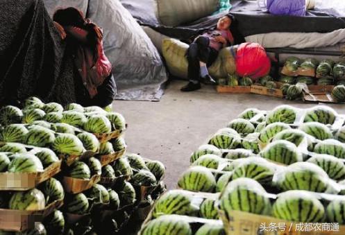 鲜榨果汁为什么那么贵,鲜榨果汁为什么不好喝