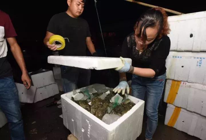 固城湖螃蟹和阳澄湖螃蟹哪个好,固城湖螃蟹十大排名