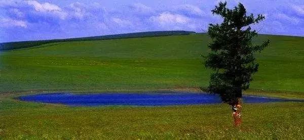 十一去哪玩划算 (十一最适合去哪里玩)