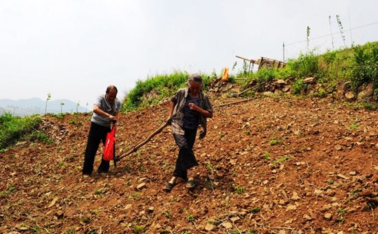 农村女儿出嫁了土地应该怎么办,媳妇孩子在村里没地怎么办