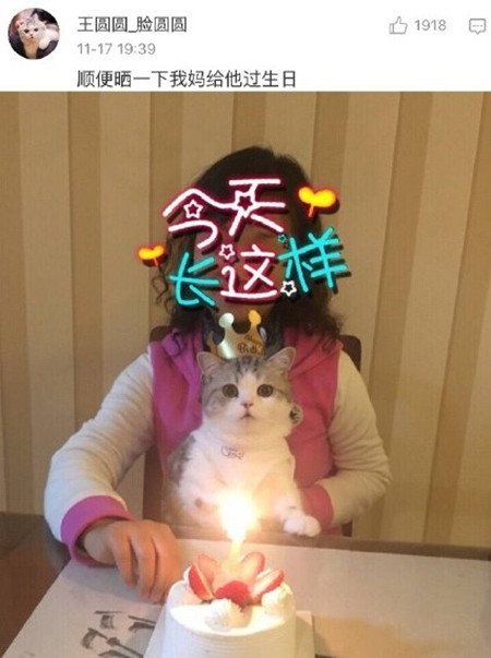 家长不让养宠物怎么办,家长不让孩子养宠物的原因的视频