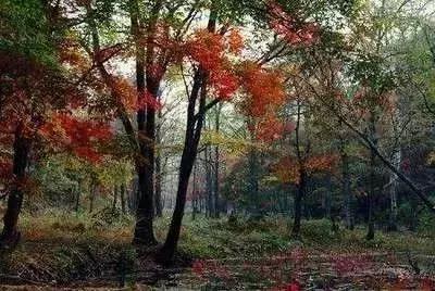 国庆冬秋双节去哪儿最好玩,国庆双节去哪里玩最好