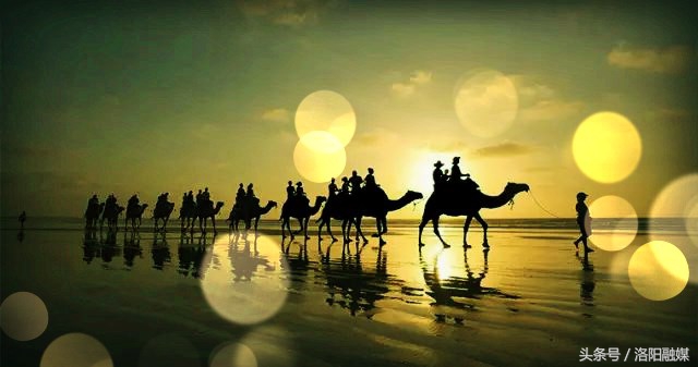 洛阳最近有什么大事件,洛阳最近发生什么大事