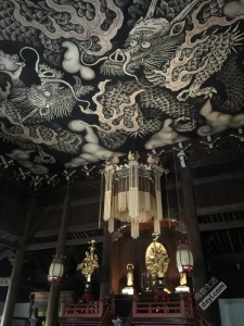 碉堡｜日本关西深度游最详细攻略！体验全日本最美的小渔村，吃嗨