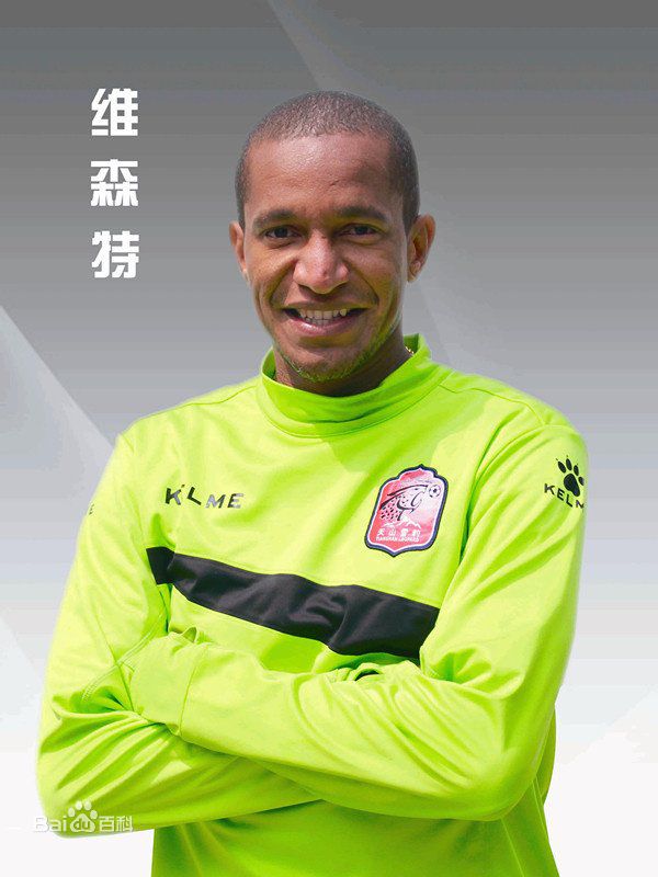 效力足球国家队最长的球员,效力时间最长的鲁能外援