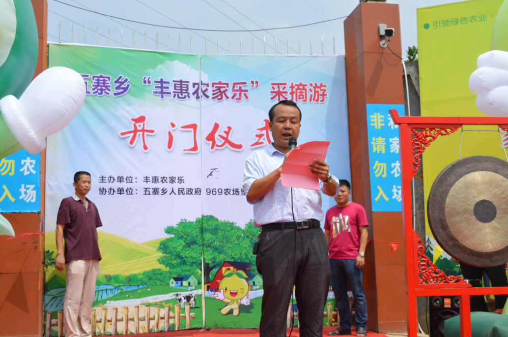 福建平和蜜柚熟啦,五寨乡蜜柚