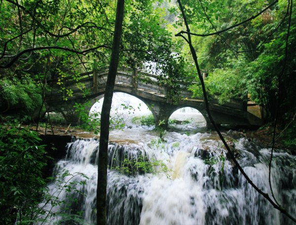 横县茉莉花之乡中华茉莉园,欢迎来到广西横县茉莉花之乡
