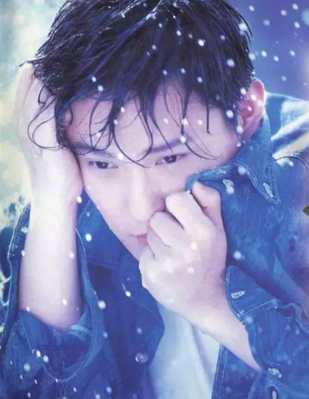 张信哲40载救援流浪猫,张信哲慈善捐款