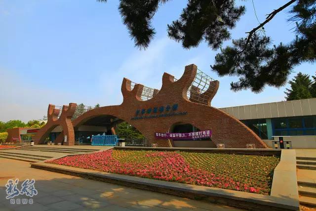 长假不远游的地方,长假不远行浙里有风景